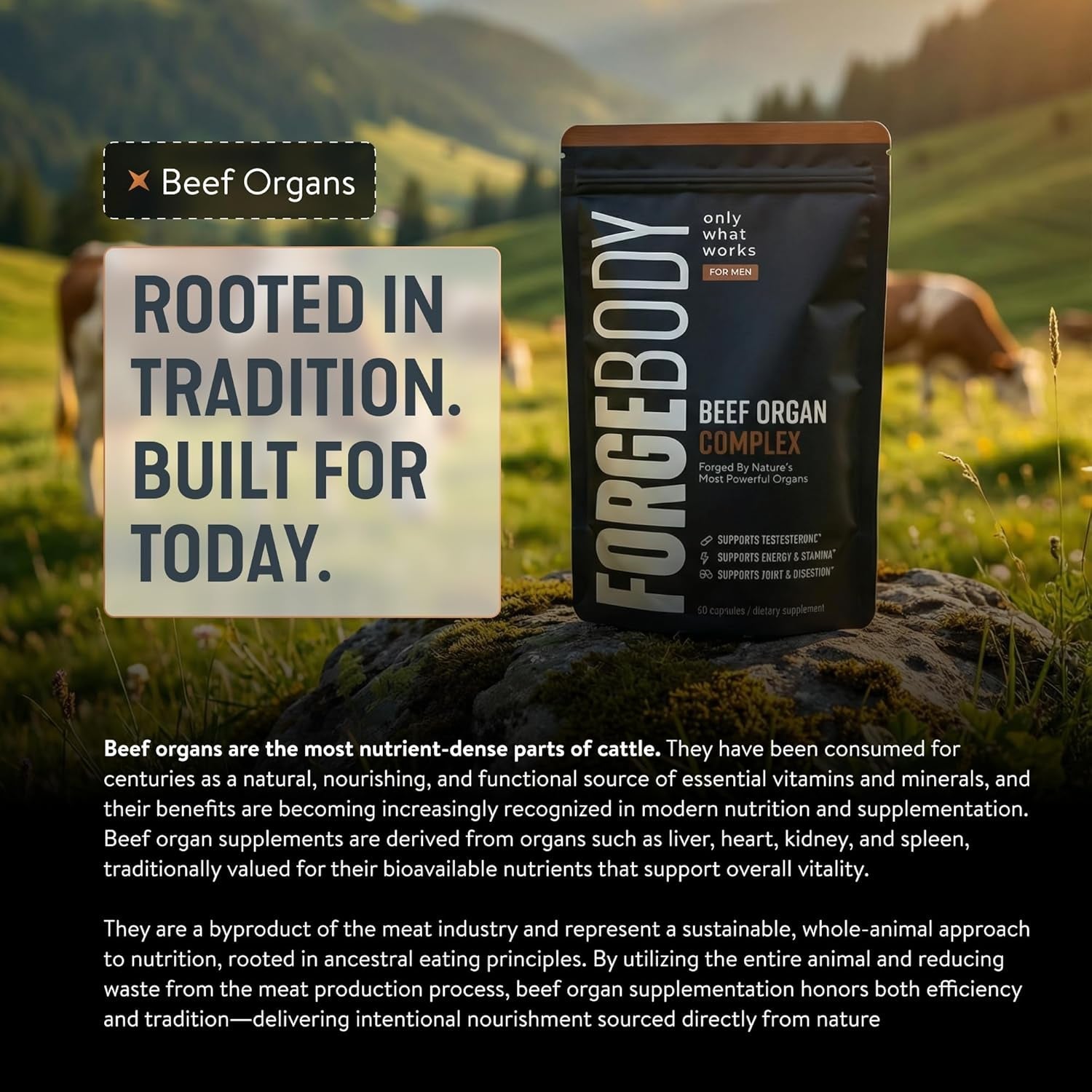 FORGEBODY® Beef Organ Complex Capsules [1 Month] - 100% Grass Fed Beef Organ Supplement with Blend of Liver, Heart, Bone Marrow, Pancreas & Testicles - Supports Body Health & Brain Function (Non-Gmo)
