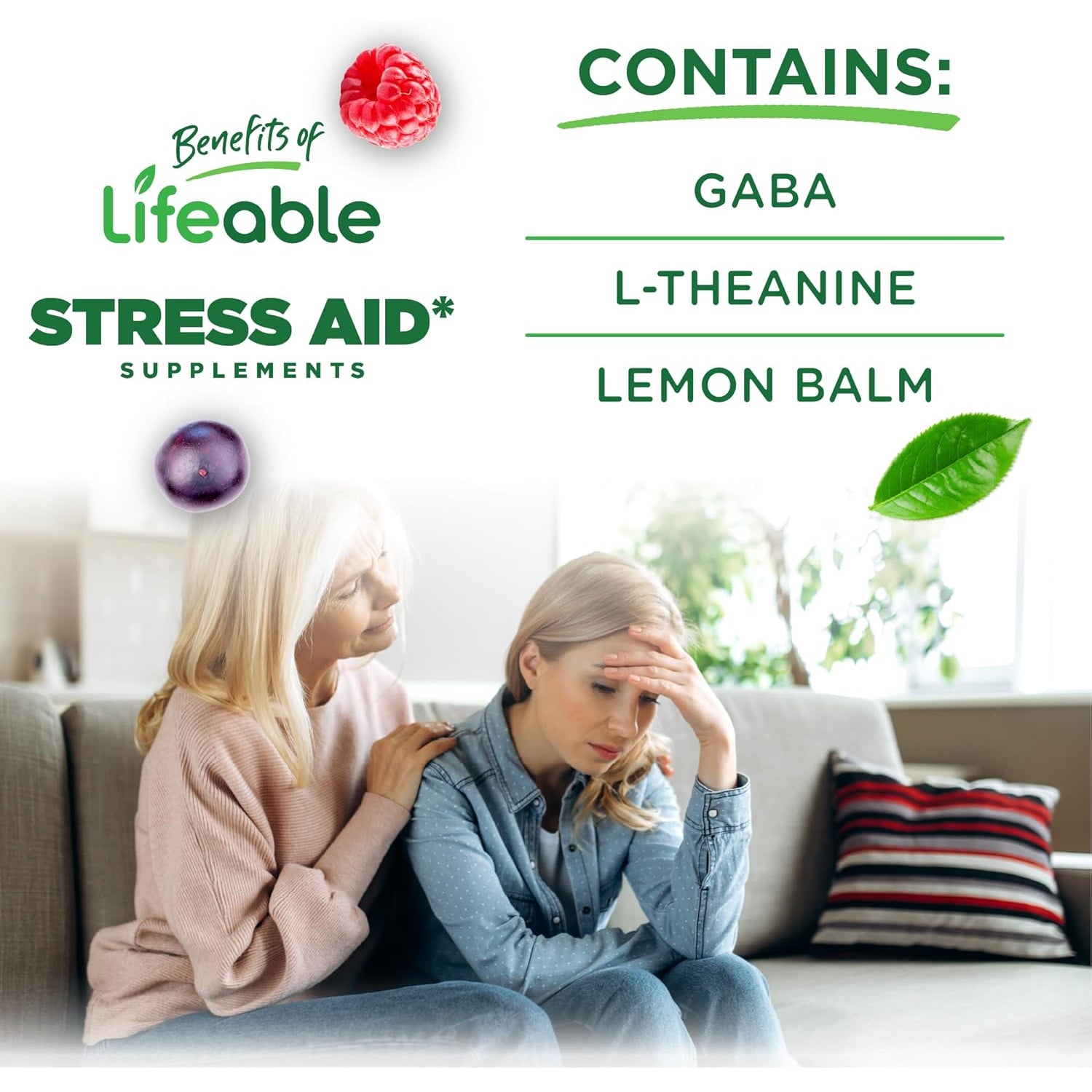 Lifeable Stress Aid Gummies for Teens | with Lemon Balm, GABA and L Theanine Supplements | Vegan Non GMO Mood Support Supplement | Great Tasing Stress Vitamins | L-Theanine for Teen | 90 Gummies