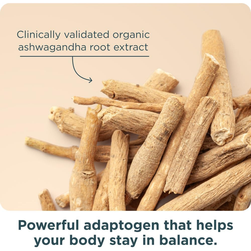 Ancient Nutrition Women’S 50+ Multivitamin with Ashwagandha – Menopause Support for Hot Flashes, Sleep, Mood, Energy & Hormonal Balance – 21 Vitamins & Minerals – 30 Servings