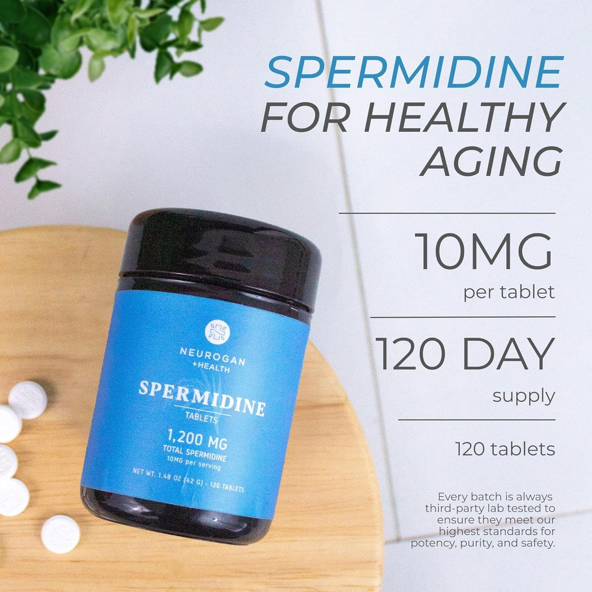 Neurogan Spermidine Supplement - 1200Mg - 99% Pure 100X More Potent than Rice & Wheat Germ Extract - for Cellular Health, Anti-Aging & Energy* - Made in USA - 10MG per Serving - 120 Servings