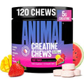 Animal Creatine Chews Tablets - Enhanced Creatine Monohydrate with Astragin to Improve Absorption, Sea Salt for Added Pumps, Delicious and Convenient Chewable Tablets - Fruit Punch