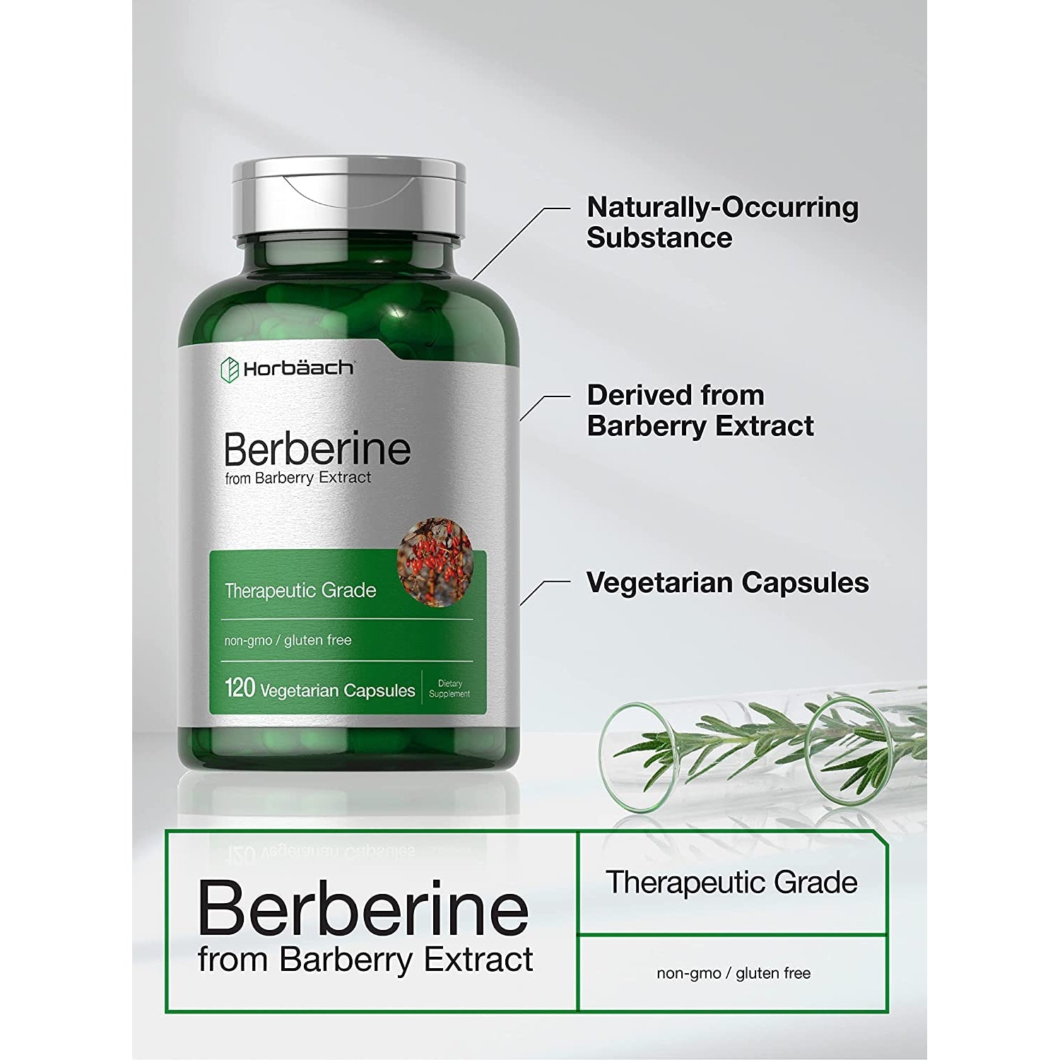 Horbaach Berberine HCL Supplement | 500Mg | 120 Capsules | from Barberry Extract | Therapeutic Grade | Vegetarian, Non-Gmo, Gluten Free