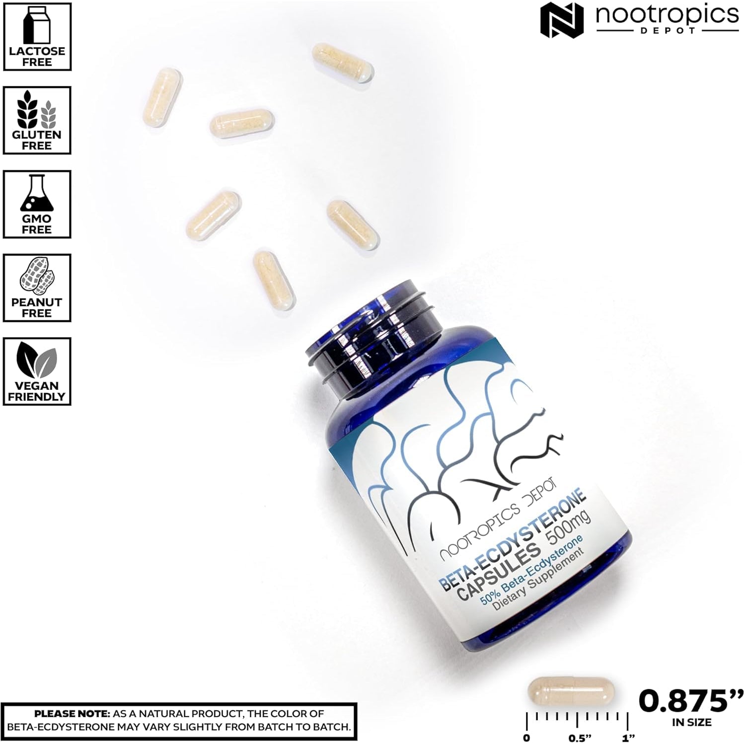 Nootropics Depot Beta Ecdysterone/20-Hydroxyecdysone 50% Capsules | 500Mg | Cyanotis Arachnoidea Extract | Phytoecdysteroid | 30 Count