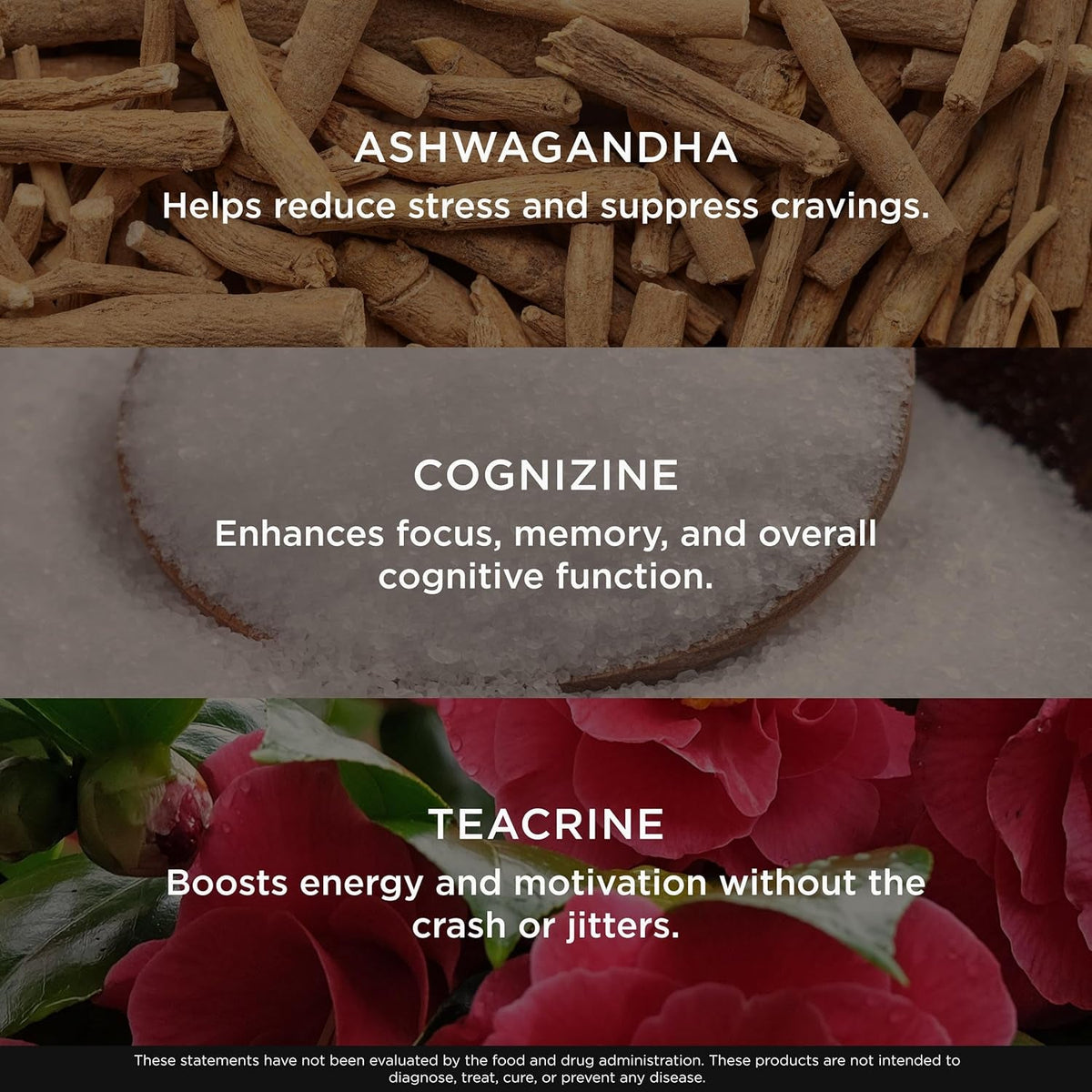 Genius Thermogenic Fat Burner, 60 Diet Veggie Pills - Weight Loss & Metabolism Supplement, Appetite Suppressant & Energy Booster - Caffeine-Free Nootropic Focus & Brain Boost - Ashwagandha & Teacrine