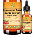 Aged Garlic Extract Liquid Drop – 500 Mg per Serving, 15:1 Extract, Odorless, Liposomal Technology for Fast Absorption – Heart & Immune Support Supplement for Men & Women, Raspberry Flavor
