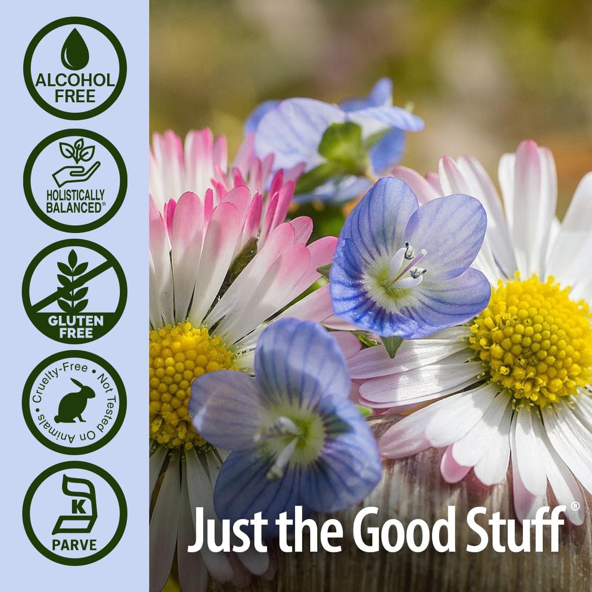 Nature'S Answer Eyebright Herb | Supports Healthy Eyes & Vision | Non-Gmo | Alcohol-Free, Gluten-Free, Kosher Certified, Vegan & No Preservatives 1Oz