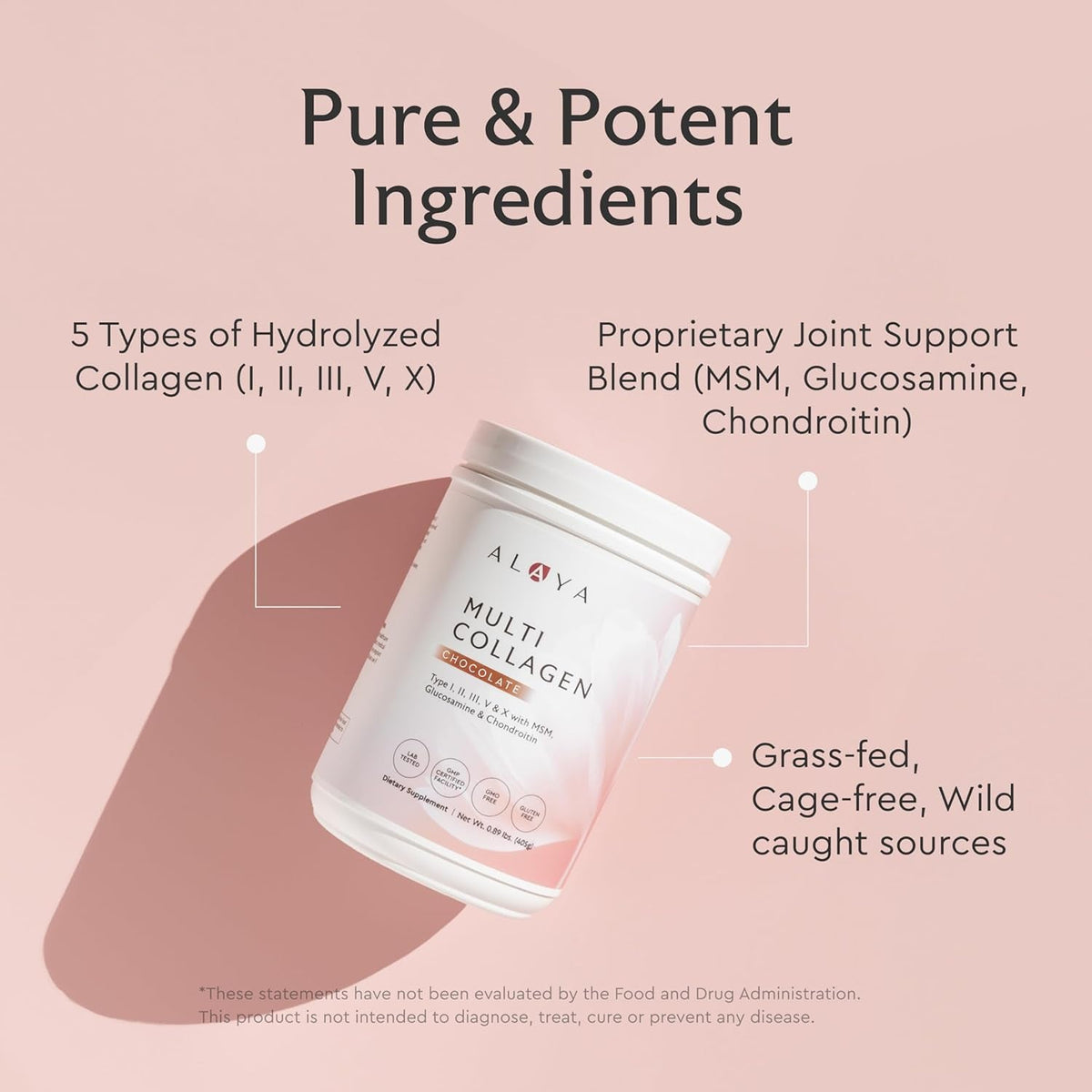 Alaya Multi Collagen Powder - Type I, II, III, V, X Hydrolyzed Collagen Peptides Protein Powder Supplement with MSM + GC (Chocolate)