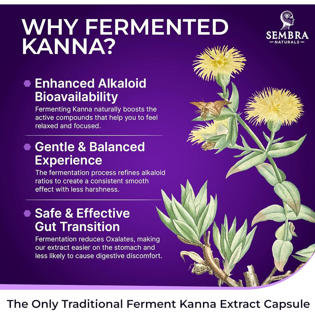 KANNAFOCUS - Natural Kanna Extract 50Mg, Fermented Sceletium Tortuosum & Bioperine® - Focus, Mood & Mental Wellness Support - Herbal Nootropic for Daily Clarity & Energy - 30 Capsules
