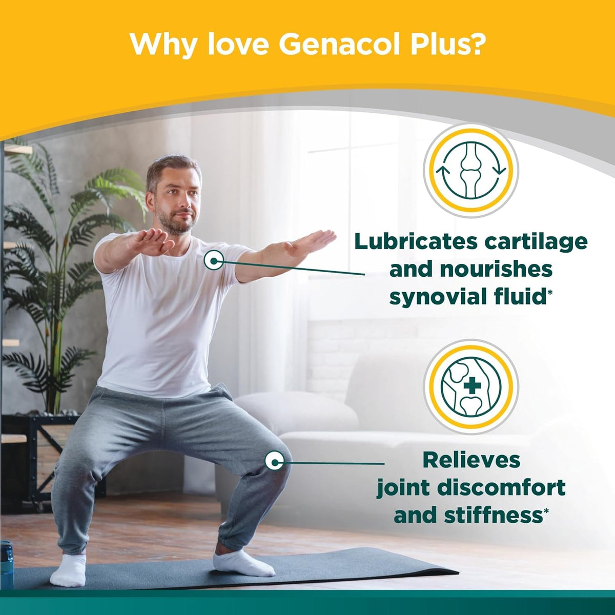 Genacol plus – Glucosamine and Ultra-Hydrolyzed Collagen, Joint Health Supplement for Men & Women, Protects and Maintains Healthy Joints, 180 Capsules (60-Day Supply)