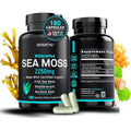 SPARTIS Certified Organic Sea Moss Capsules 2250Mg Wildcrafted Irish Sea Moss Burdock Root Bladderwrack Supplement Raw Seamoss Pills & Powder (Pack of 1 at 180-Caps)