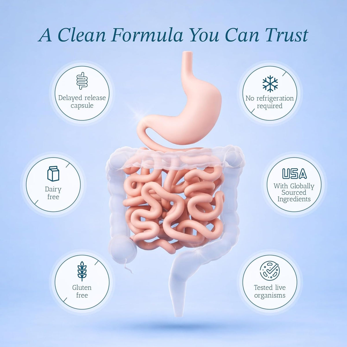 Vitamin Bounty Pro-50 - Probiotics for Women & Men - 50 Billion CFU - 13 Strains Probiotic + Prebiotic - Probiotics for Digestive Health - Delayed Release Capsules - 60 Count