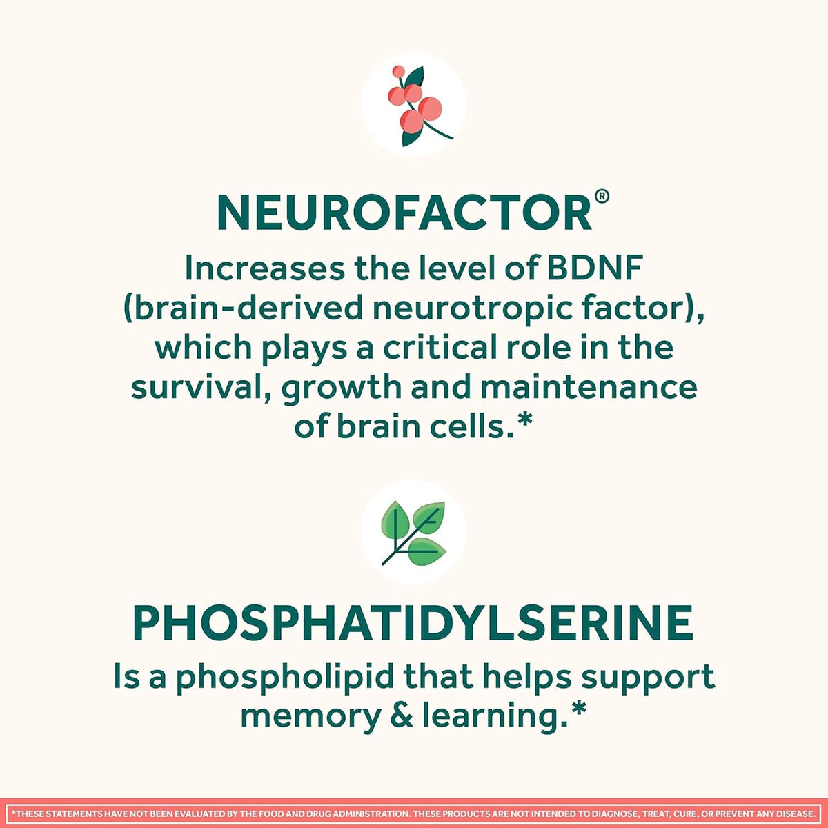 NEURIVA Original Brain Supplements for Memory and Focus, Clinically Tested Nootropics Phosphatidylserine and Neurofactor, Caffeine Free, 50Ct Strawberry Gummies