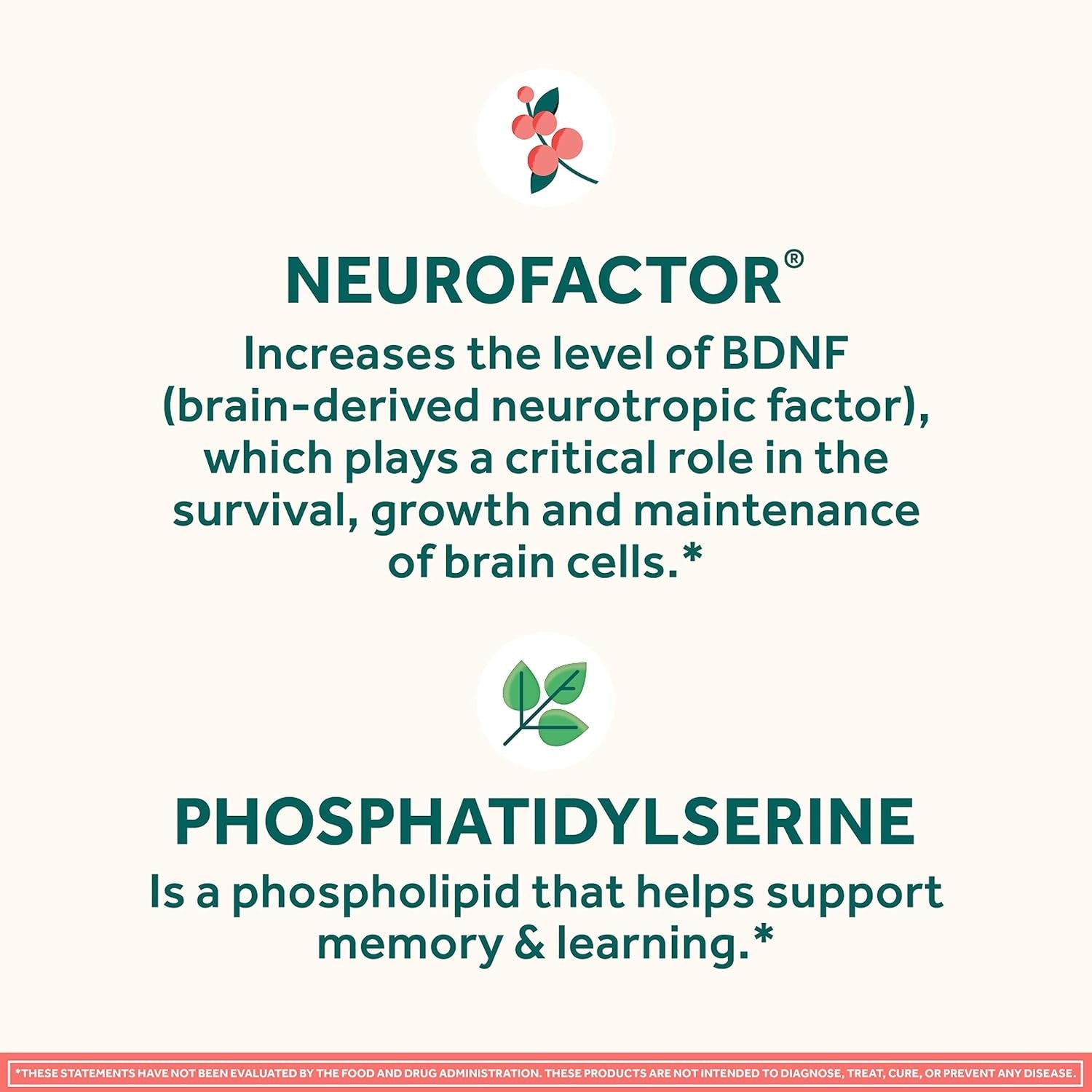 NEURIVA Original Brain Supplements for Memory and Focus, Clinically Tested Nootropics Phosphatidylserine and Neurofactor, Caffeine Free, 50Ct Strawberry Gummies