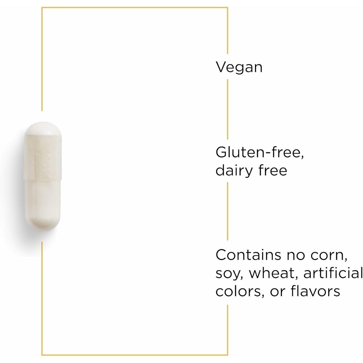 Integrative Therapeutics GABA - Brain Health Supplement That Supports Nerve Cell Function* - Support Neurochemical Balance & Neurotransmitter Production* - Dairy-Free - 60 Capsules (60 Servings)