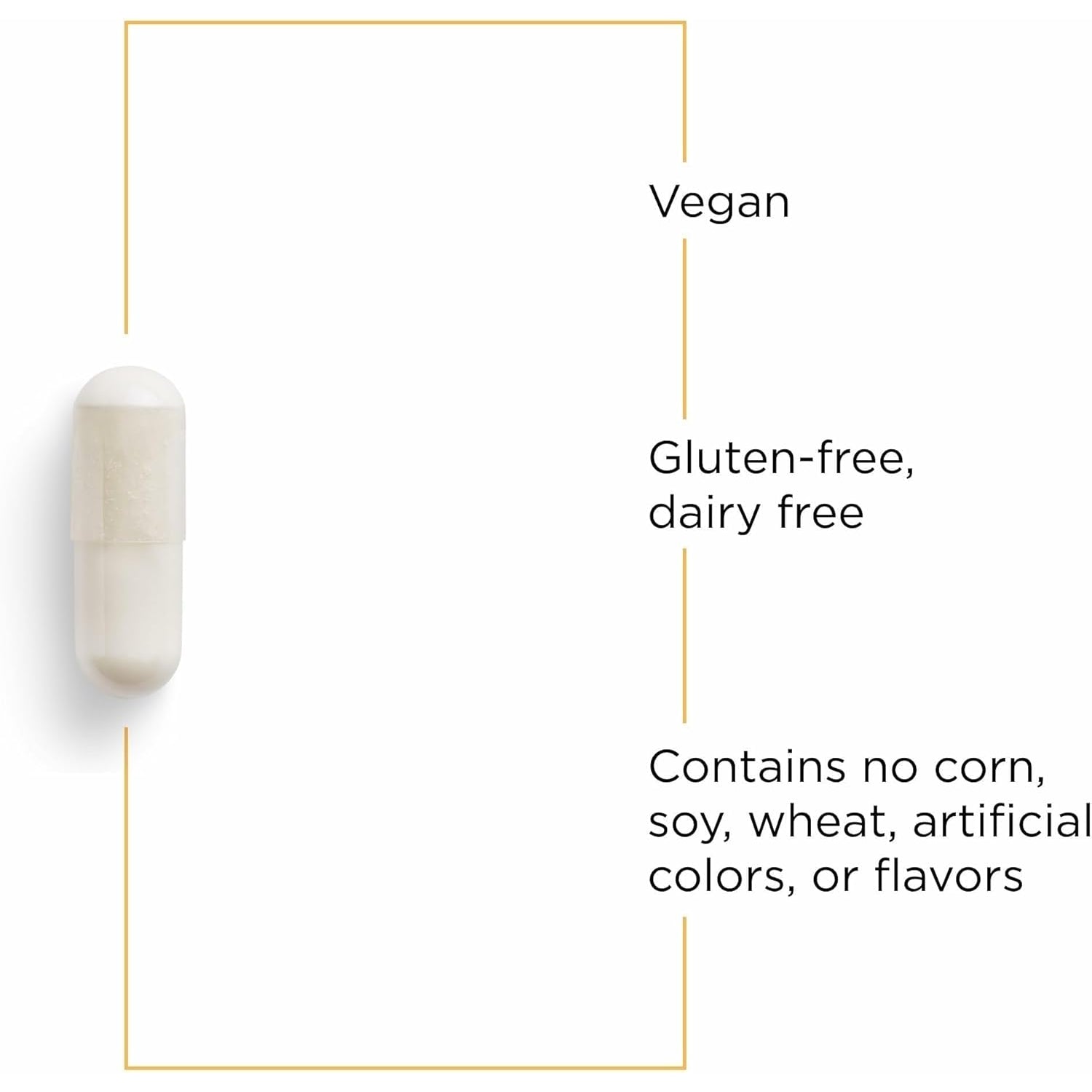 Integrative Therapeutics GABA - Brain Health Supplement That Supports Nerve Cell Function* - Support Neurochemical Balance & Neurotransmitter Production* - Dairy-Free - 60 Capsules (60 Servings)