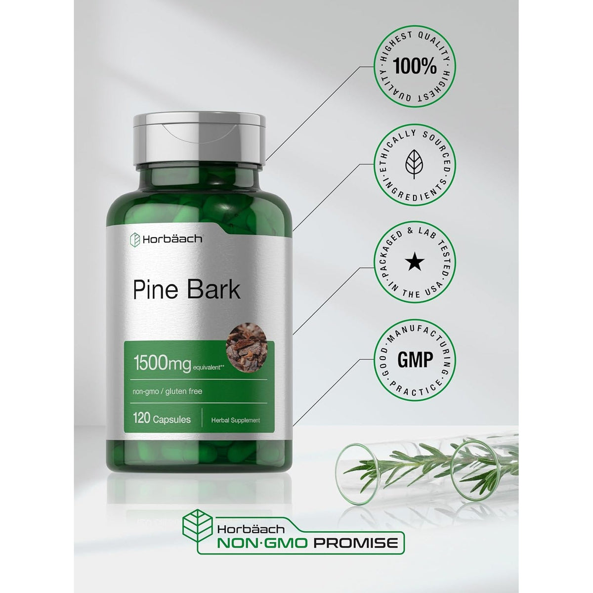 Horbäach Pine Bark Extract Capsules |120 Count | Non-Gmo and Gluten Free