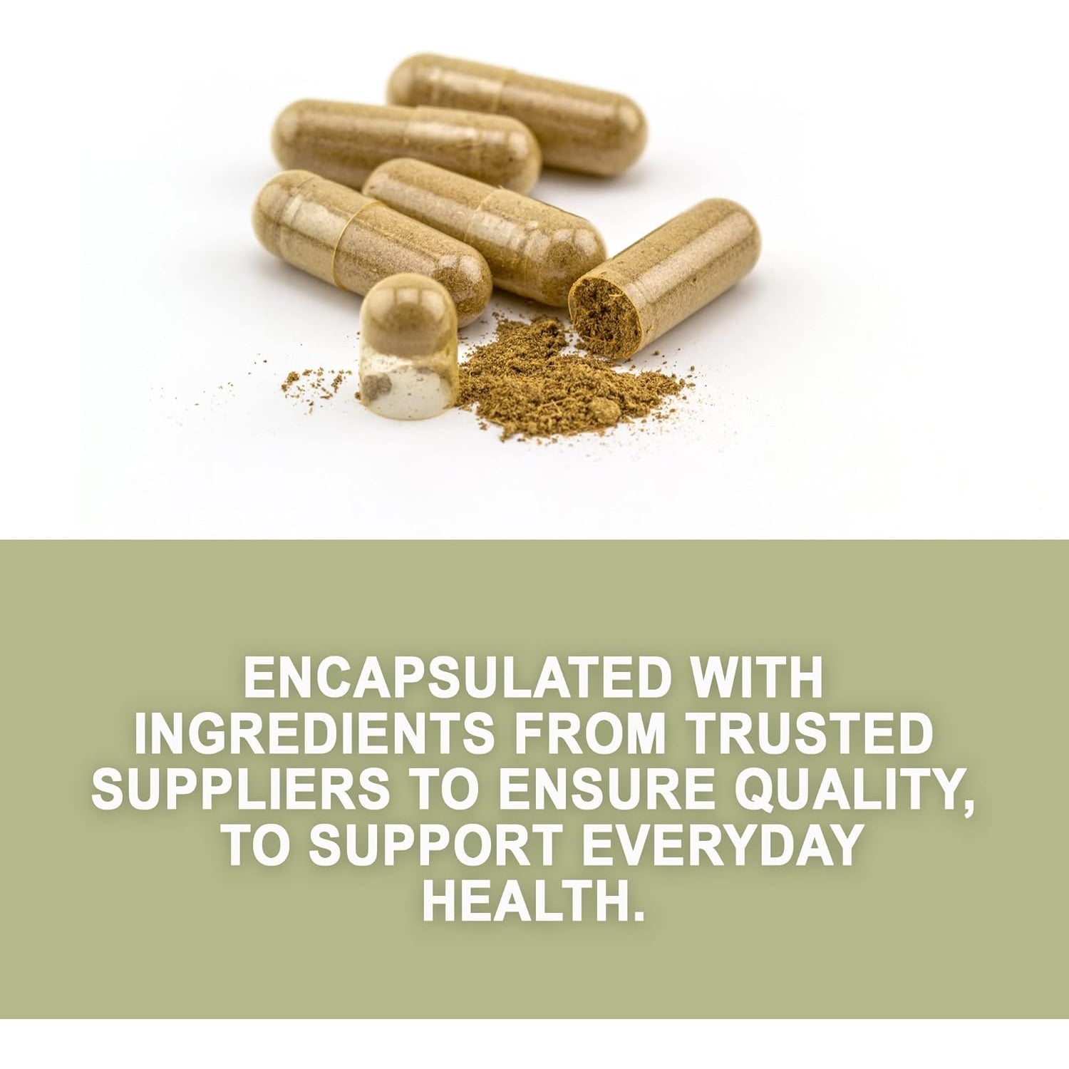 Evergreen Herbs Cuachalalate Herb (Amphipetyglum Adstringens) - Resealable Stand up Pouch to Ensure Freshness! (Capsules)