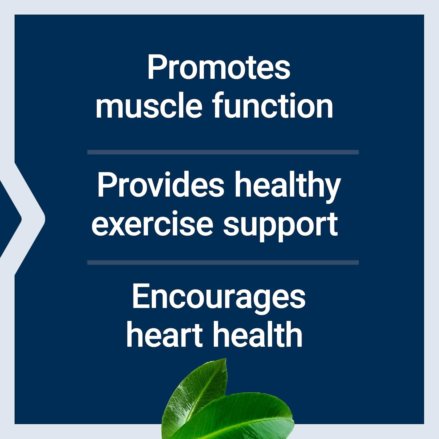 Life Extension Super Carnosine, L-Carnosine, Luteolin, Vitamin B1, Muscle Support, Exercise Recovery, Heart Health, Gluten-Free, Non-Gmo, Vegetarian, 60 Capsules