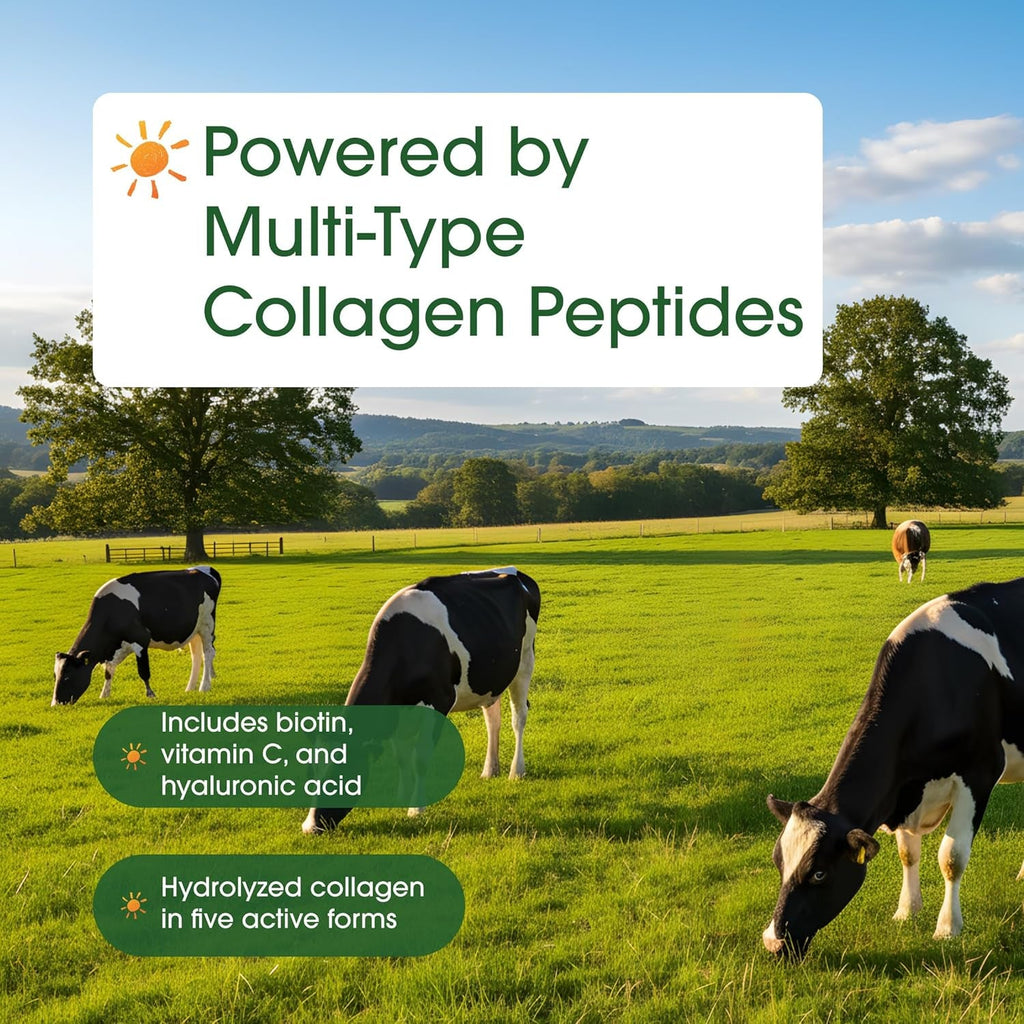 Naturebell Multi Collagen Protein Powder - 600G - Hydrolyzed Collagen Peptides - for Skin, Hair, Nail, Joint & Bone Health Support* - Grass-Fed & Keto-Friendly - Unflavored