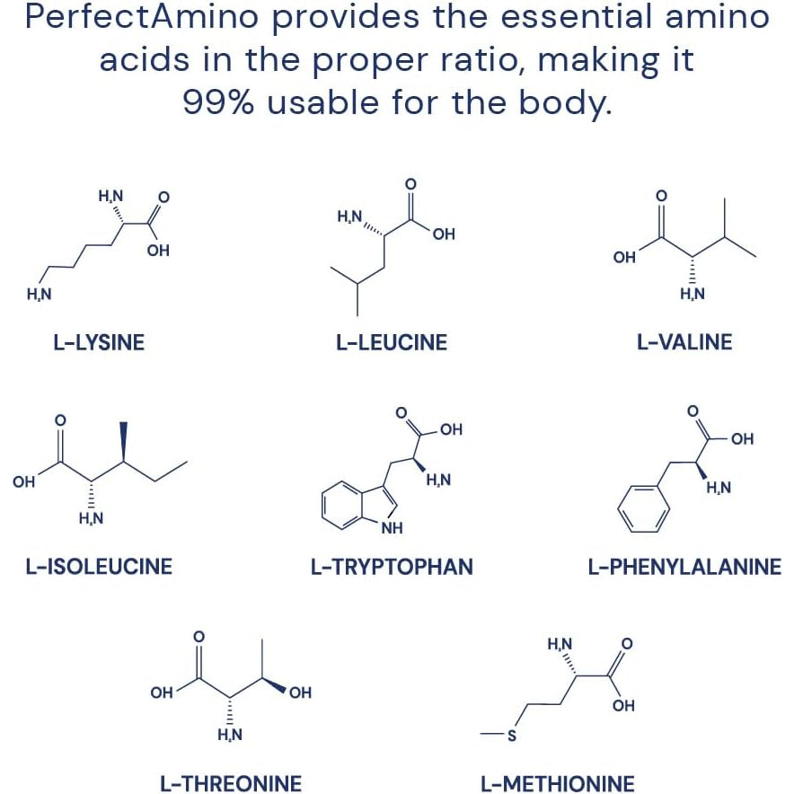 Bodyhealth Perfectamino (150 Ct) Easy to Swallow Tablets, Essential Amino Acids Supplement with Bcaas, Vegan Protein for Pre/Post Workout & Muscle Recovery with Lysine, Tryptophan, Leucine, Methionine