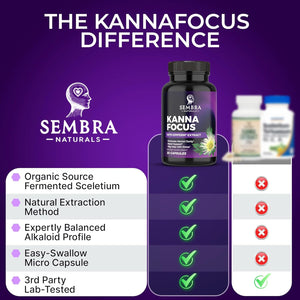 KANNAFOCUS - Natural Kanna Extract 50Mg, Fermented Sceletium Tortuosum & Bioperine® - Focus, Mood & Mental Wellness Support - Herbal Nootropic for Daily Clarity & Energy - 30 Capsules