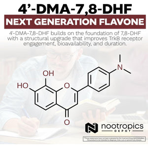 Nootropics Depot 4'-DMA-7,8-DHF Nutritional Supplement Capsules | 10Mg | 30 Count | 4'-Dma-7,8-Dihydroxyflavone