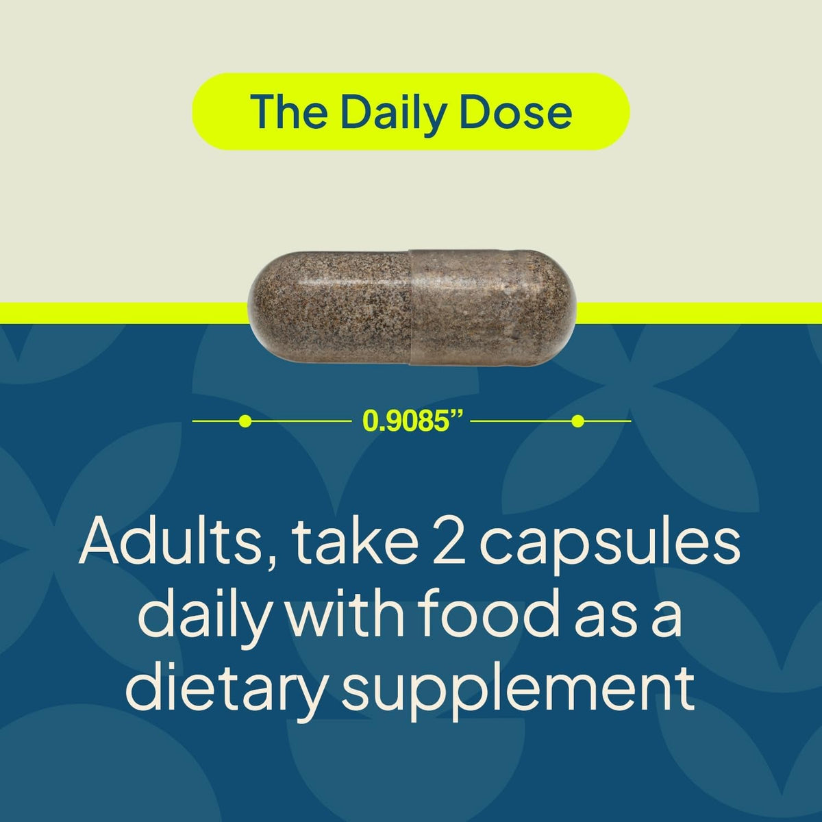 Nature'S Wonder Daily GLP-1 Support Supplement, Supports Healthy Weight Management & Appetite Control*, Includes Clinically Studied Metabolaid | 60 Capsules, 30 Day Supply
