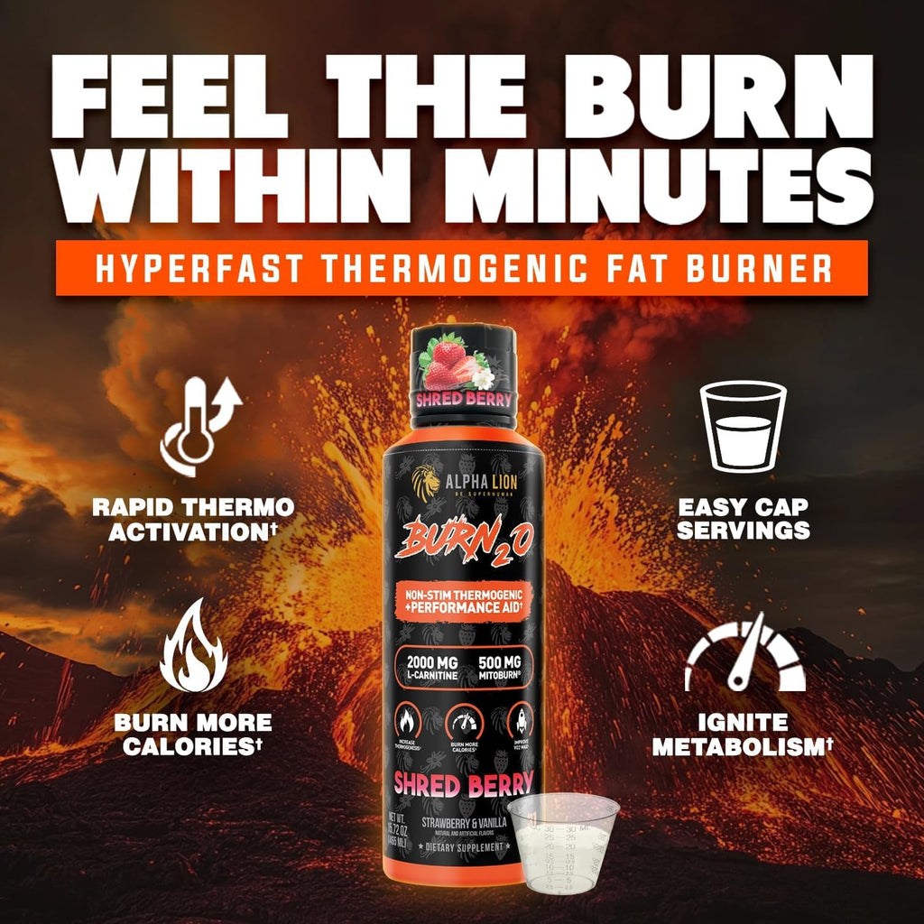 ALPHA LION Burn2O L-Carnitine Liquid 2000Mg, Premium Liquid Fat Burner & Pre-Workout Supplement for Men & Women - Natural Energy & Metabolism Booster for Weight Loss - Shredberry