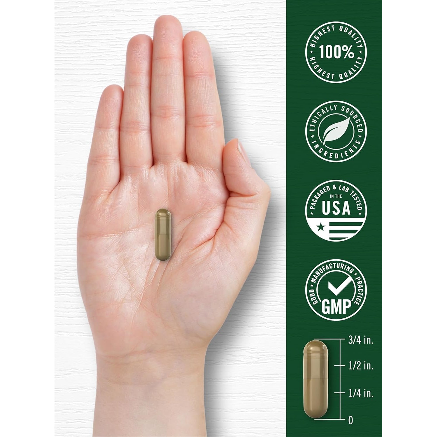 Carlyle Wormwood Capsules | Artemisia Annua Herb | 200 Count | Non-Gmo & Gluten Free Supplement