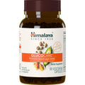 Himalaya Glucocare – Herbal Glucose Metabolism & Pancreatic Support with Bitter Melon, Gymnema, Triphala & Turmeric – Natural Blood Sugar Support – Vegan, Non-Gmo, Gluten-Free – 90 Capsules