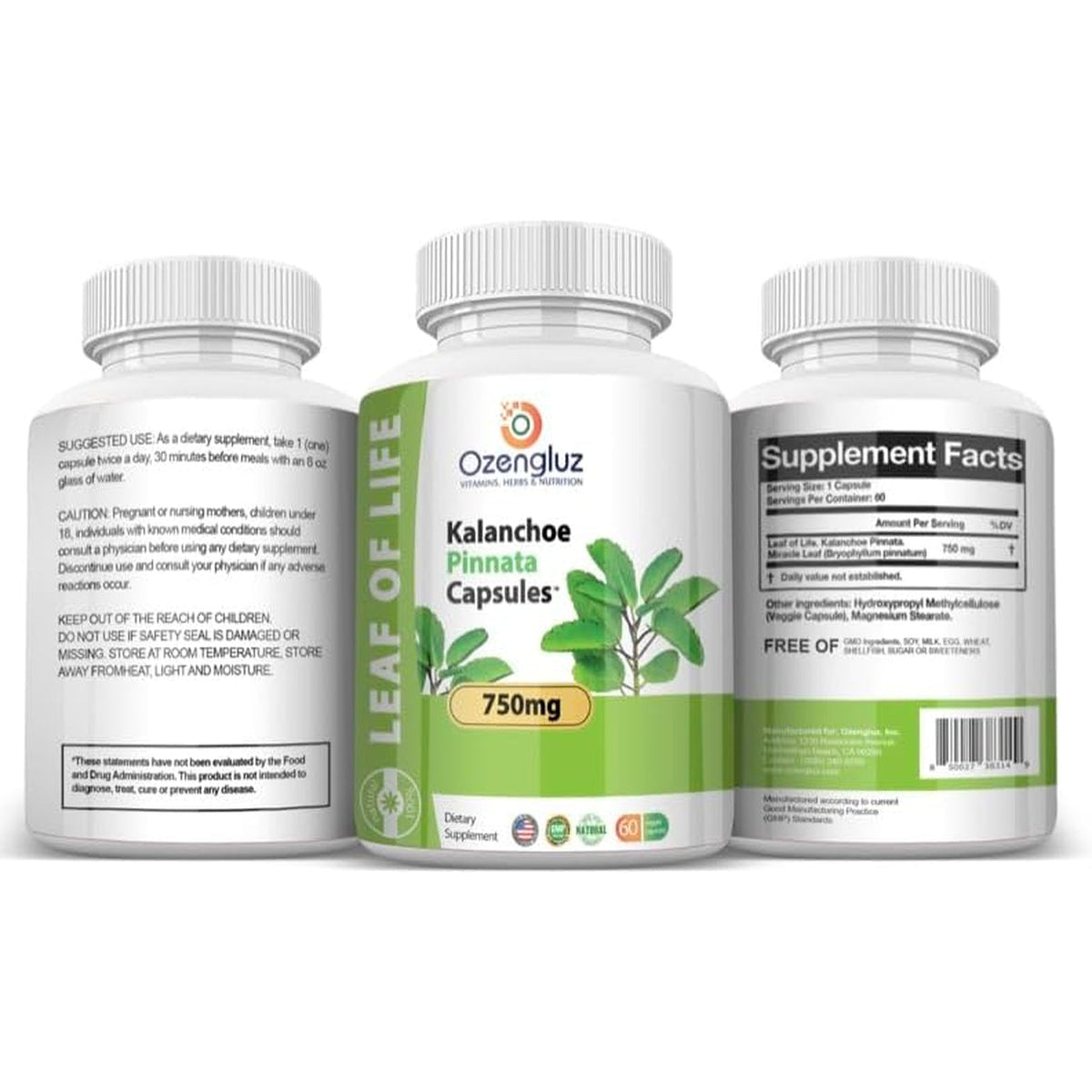 Kalanchoe Pinnata-Leaf of Life (Bryophyllum Pinnatum) 60 Cápsulas De 750Mg Bottle.