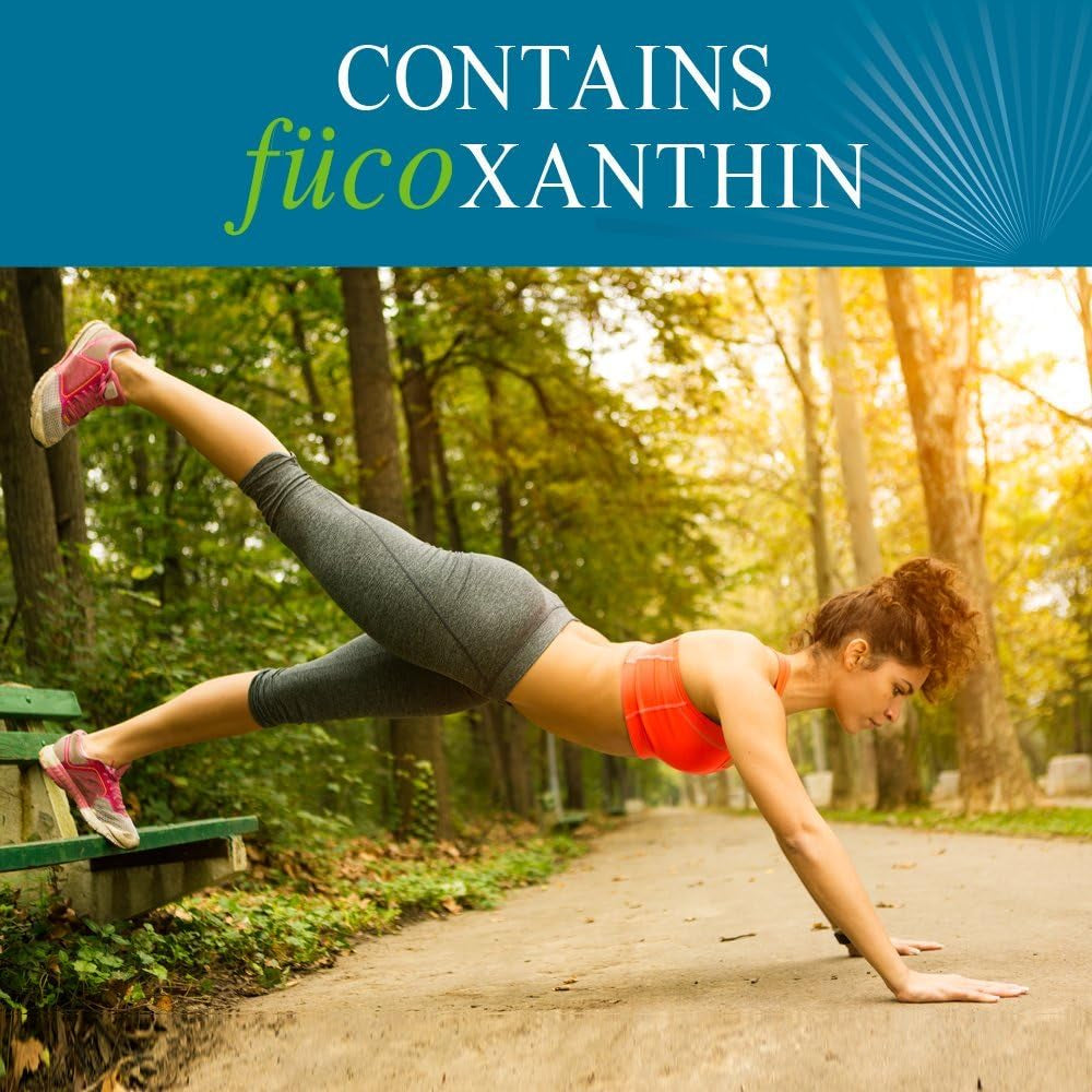 Garden of Life Fucothin Fucoxanthin Weight Loss Pills – Whole Food Diet Pill with Brown Seaweed and Pomegranate Seed Oil for Natural Weight Management, Non‑Stimulant Dietary Supplement, 180 Softgels