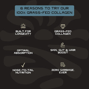 Lineage Provisions 100% Grass Fed Collagen Powder UNFLAVORED – Hydrolyzed Bovine Collagen Peptides with Trachea, Scapula, Eggshell Membrane – Collagen Protein Powder with Vitamin C – 30 Servings