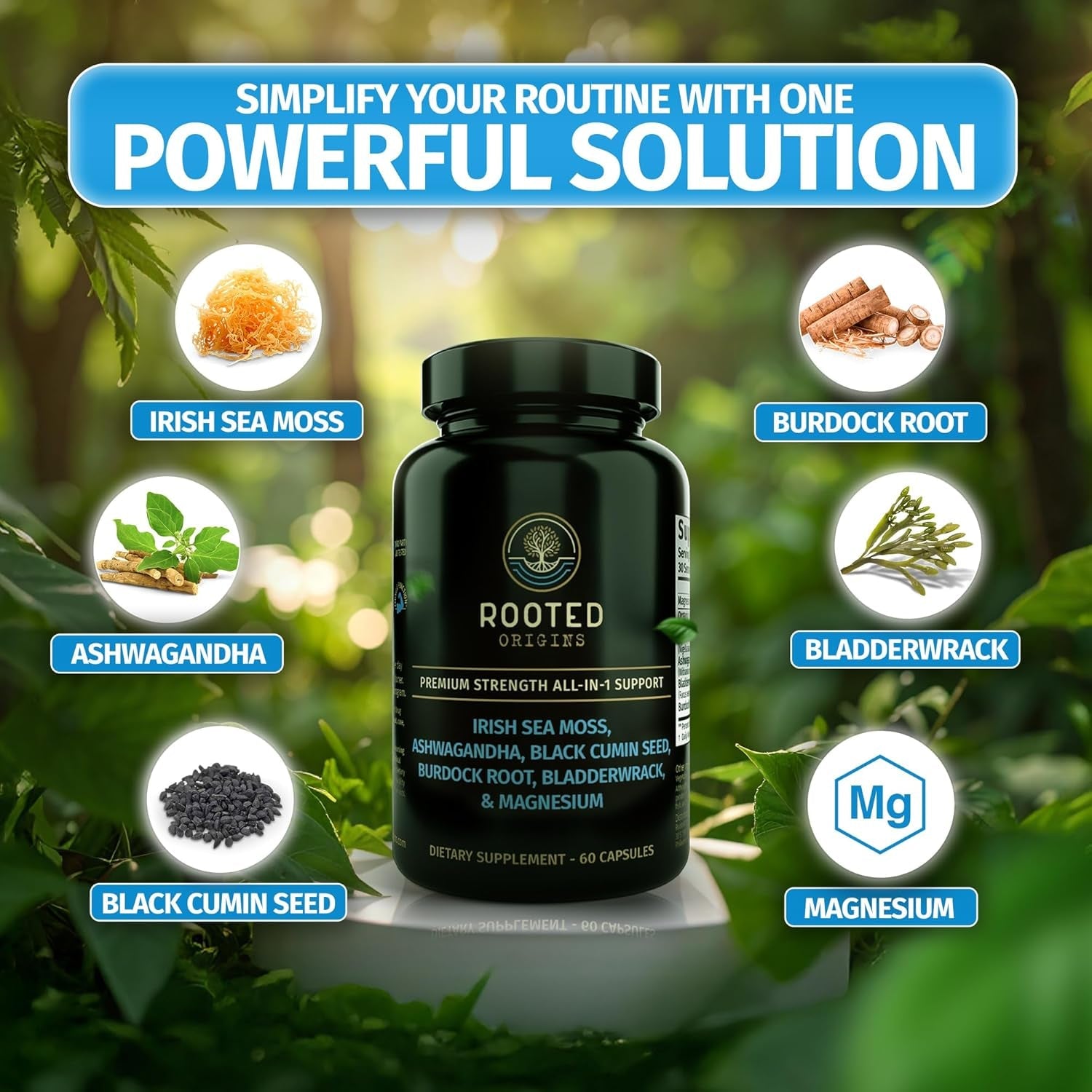 Sea Moss Capsules – Irish Sea Moss Advanced, Magnesium, Ashwaghanda, Black Seed Oil, Burdock Root & Bladderwrack – Immune Support, Gut Health, Energy, & More – 60 Capsules