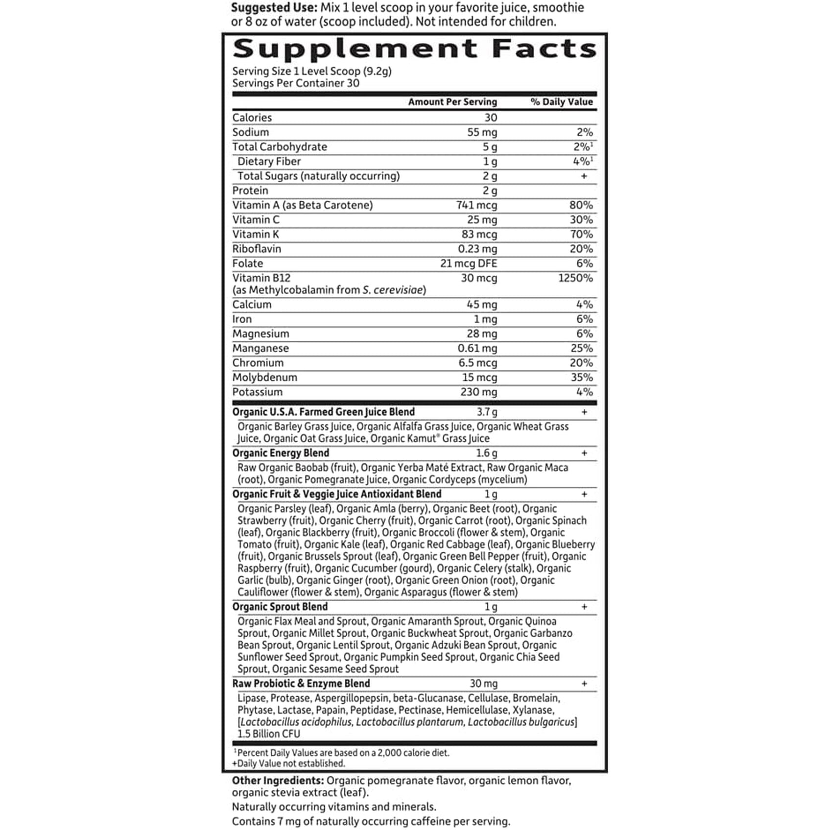 Garden of Life Raw Organic Perfect Food Energizer Juiced Green Superfood Powder - Yerba Mate Pomegranate, 30 Servings, Green Superfood Powder & Probiotics, Gluten Free Whole Food Greens Supplements