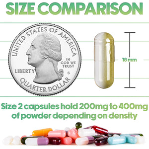 XPRS Nutra Size 2 Empty Capsules - 100 Count Clear Empty Gelatin Capsules - Pills DIY Capsule Filling - Pure Bovine Pill Gel Caps for Do-It-Yourself Supplements