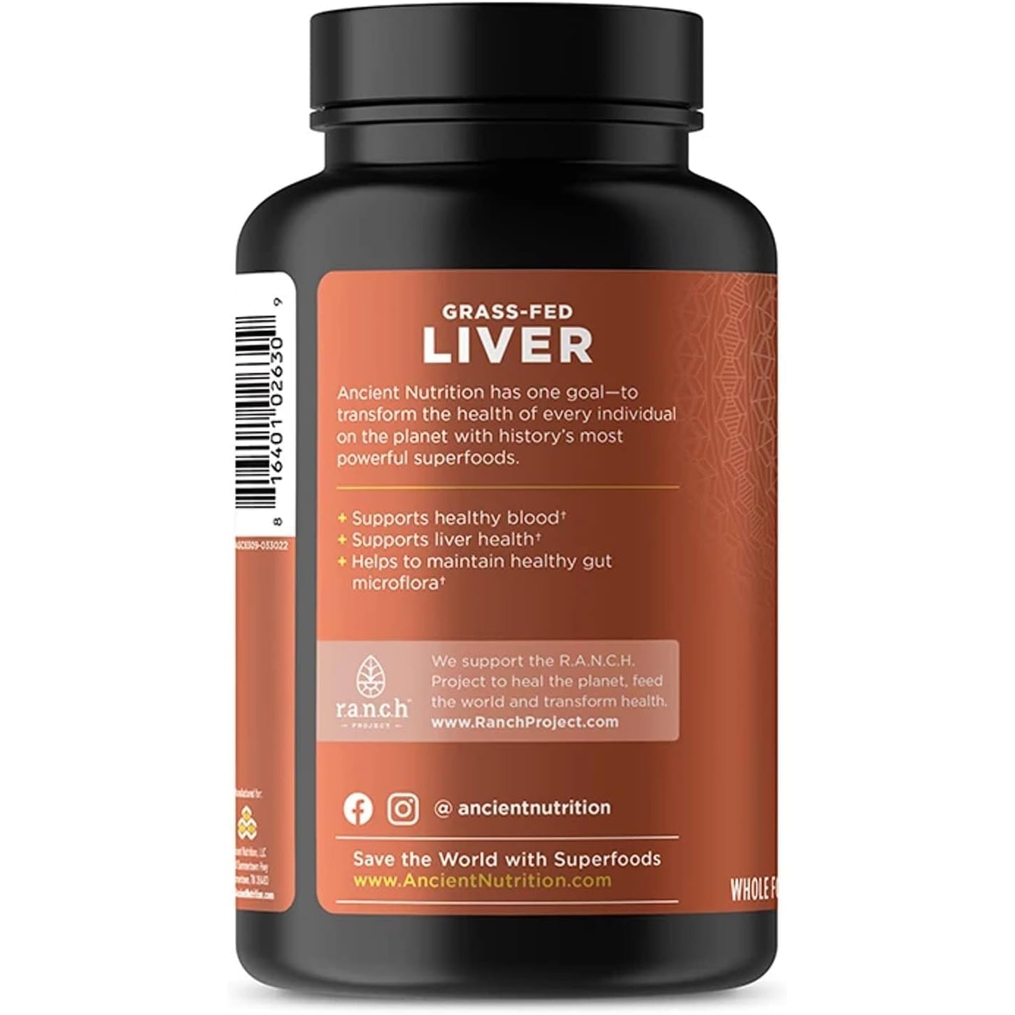 Ancient Nutrition Organ Supplements, Grass-Fed and Wild Organ Complex Capsules, Beef & Lamb Liver, Supports Healthy Blood, Gut, and Liver, 180 Ct