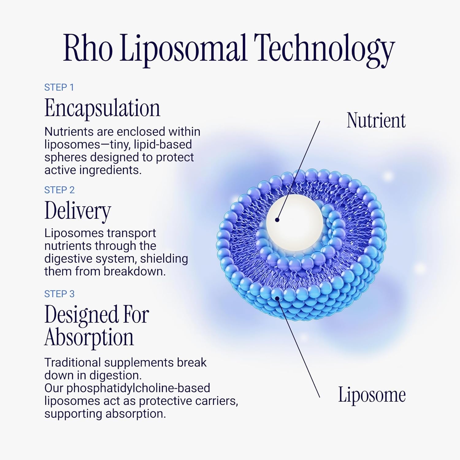 Rho Nutrition Liposomal DIM+ Liquid Supplement – Ultra High Absorption Diindolylmethane with Sulforaphane Glucosinolate – Supports Estrogen Metabolism, Hormone Balance & Detox Pathways – Men & Women