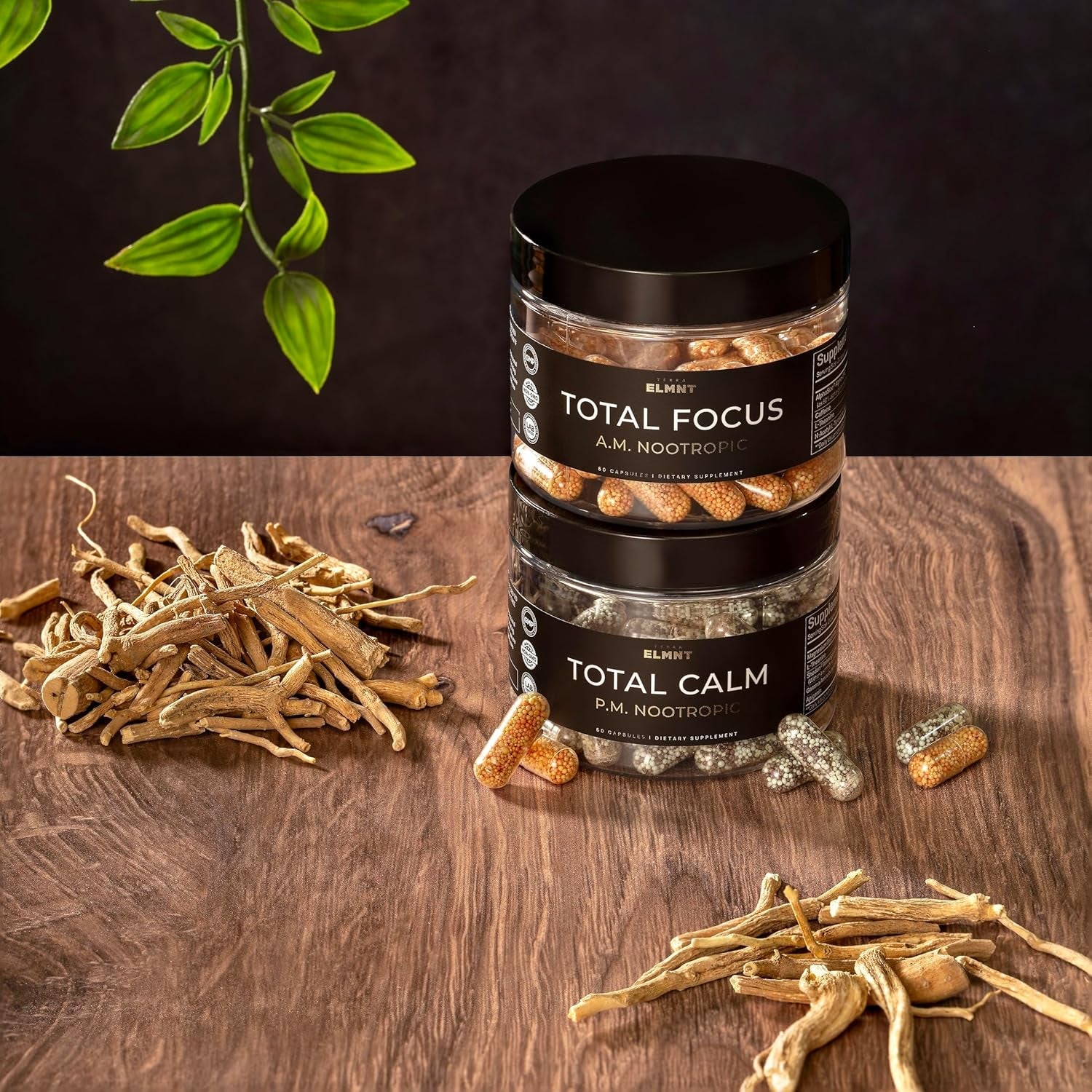 AMPM Nootropic Total Focus + Calm 9X Strength W. Caffeine, L-Theanine, Alpha GPC, L-Tyrosine, Ashwagandha - X-Release Energy Pills Nootropics Brain Support Supplements for Memory and Focus Supplement