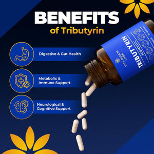 Tributyrin Supplement - Better Delivery & More Effective than Sodium Butyrate - Gut Health & Digestive Support - 3-In-1 Butyrate Postbiotics for Leaky Gut & Gut Barrier Support - 30 Capsules