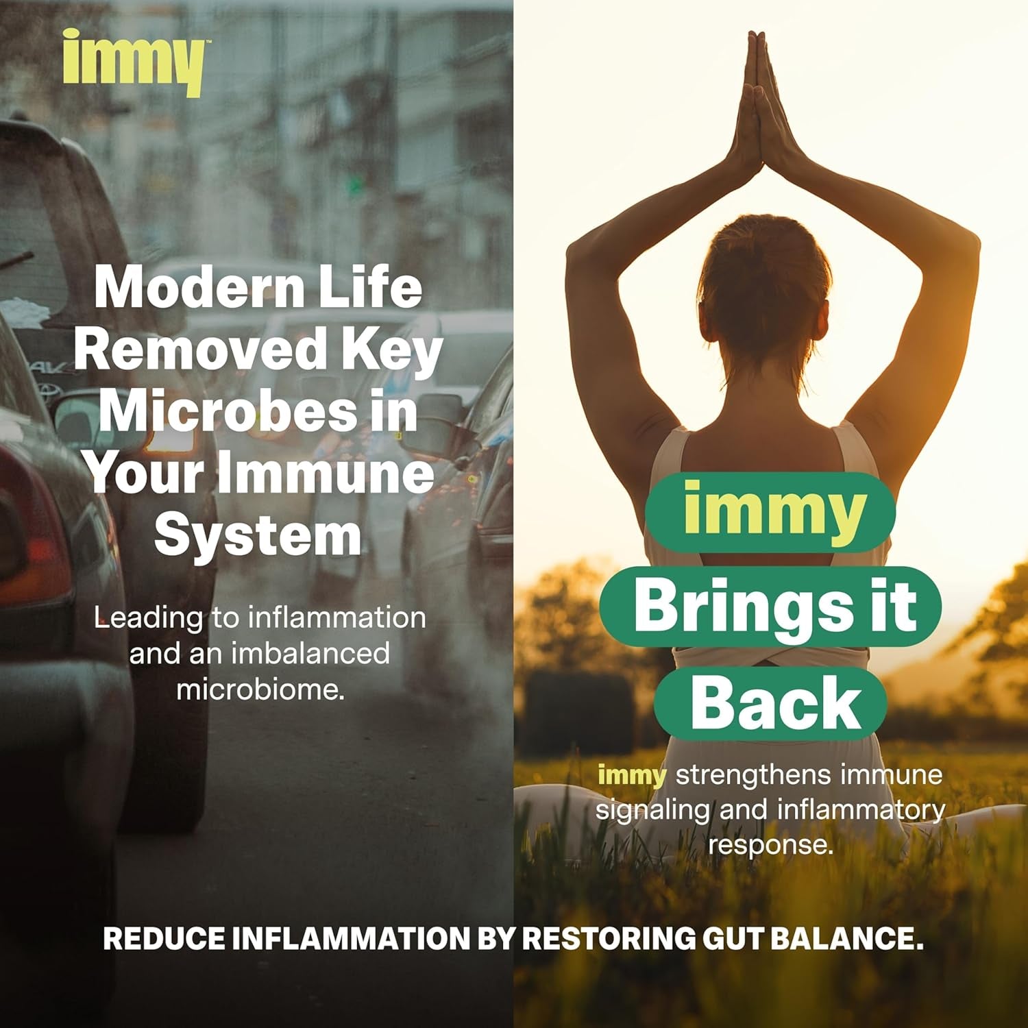 IMMY Immune Supplement for Mood Support and Gut Health, 180 Ct. - Supports Joint Relief, Focus & Mood Support, Natural Calming Aid