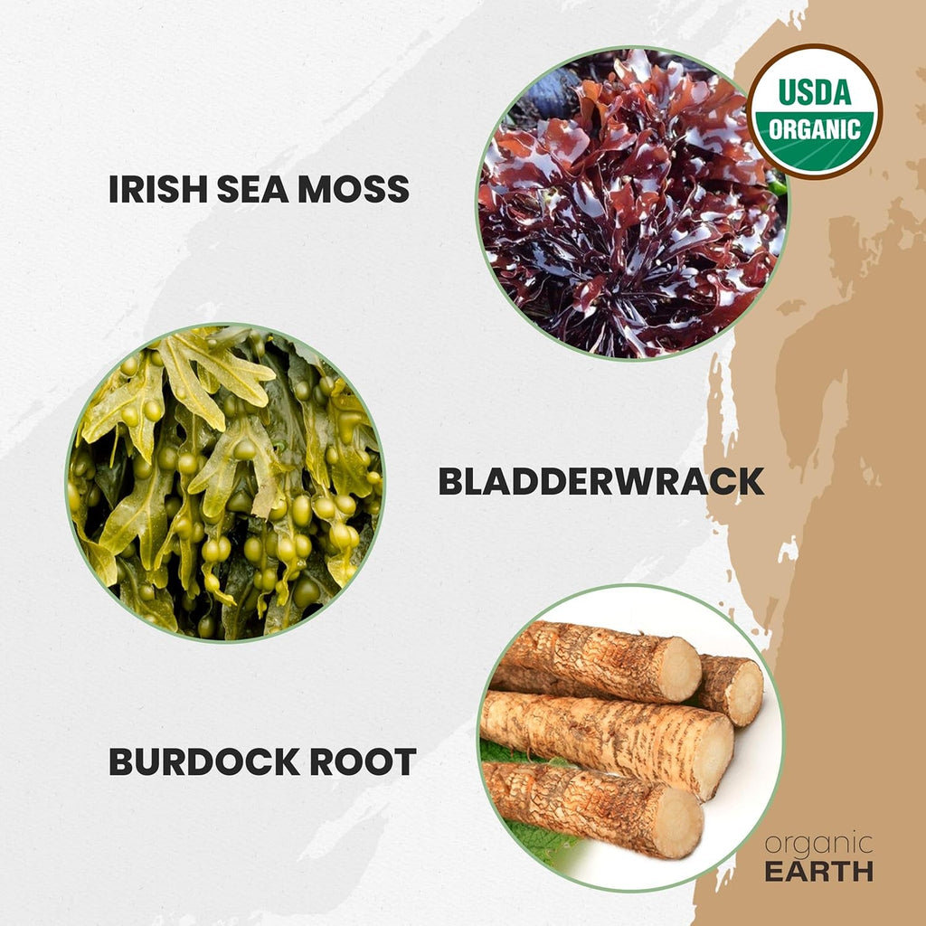 Organic Earth Irish Sea Moss Powder 8Oz - Wildcrafted Sea Moss Organic with Bladderwrack & Burdock Root Powder - Thyroid, Digestion Support & Healthy Skin - USDA Certified Organic