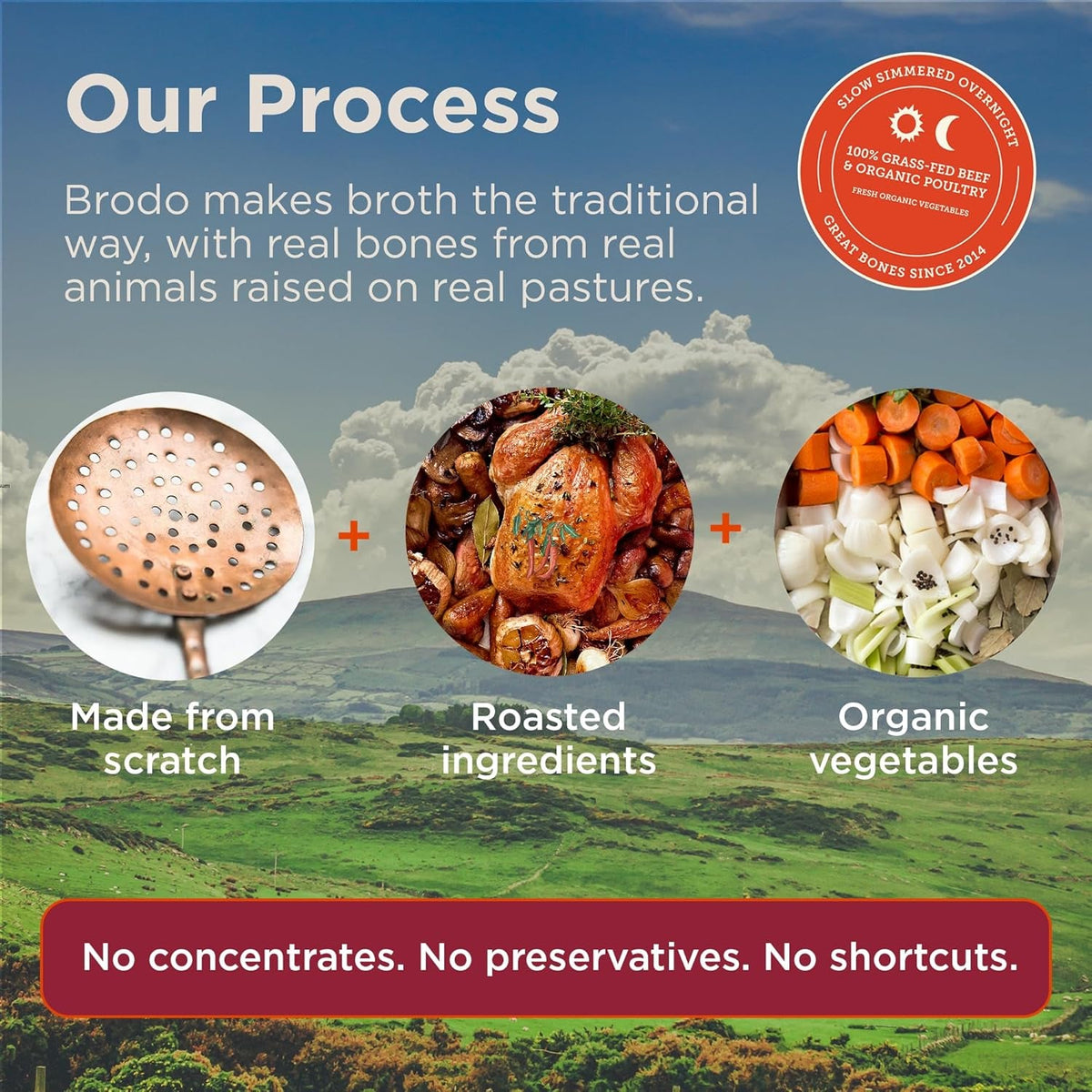 Brodo Deeply Rooted Organic Chicken Broth with Turmeric & Ginger, Nutrient-Rich Chicken Bone Broth Organic, High in Protein and Collagen for Wellness and Cooking, (6X 8.3 Oz. Pouches)