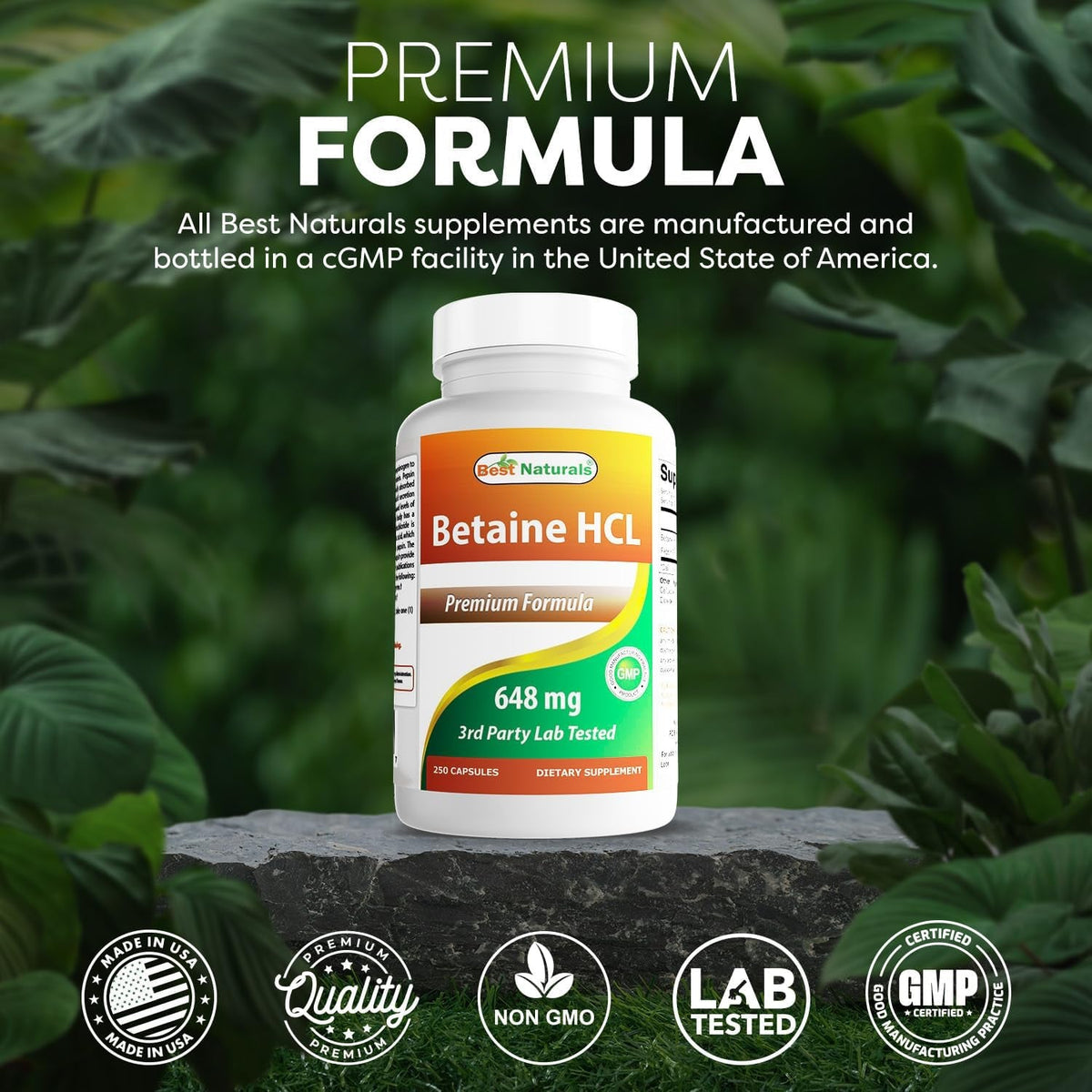 Best Naturals Betaine HCL 648 Mg 250 Capsules