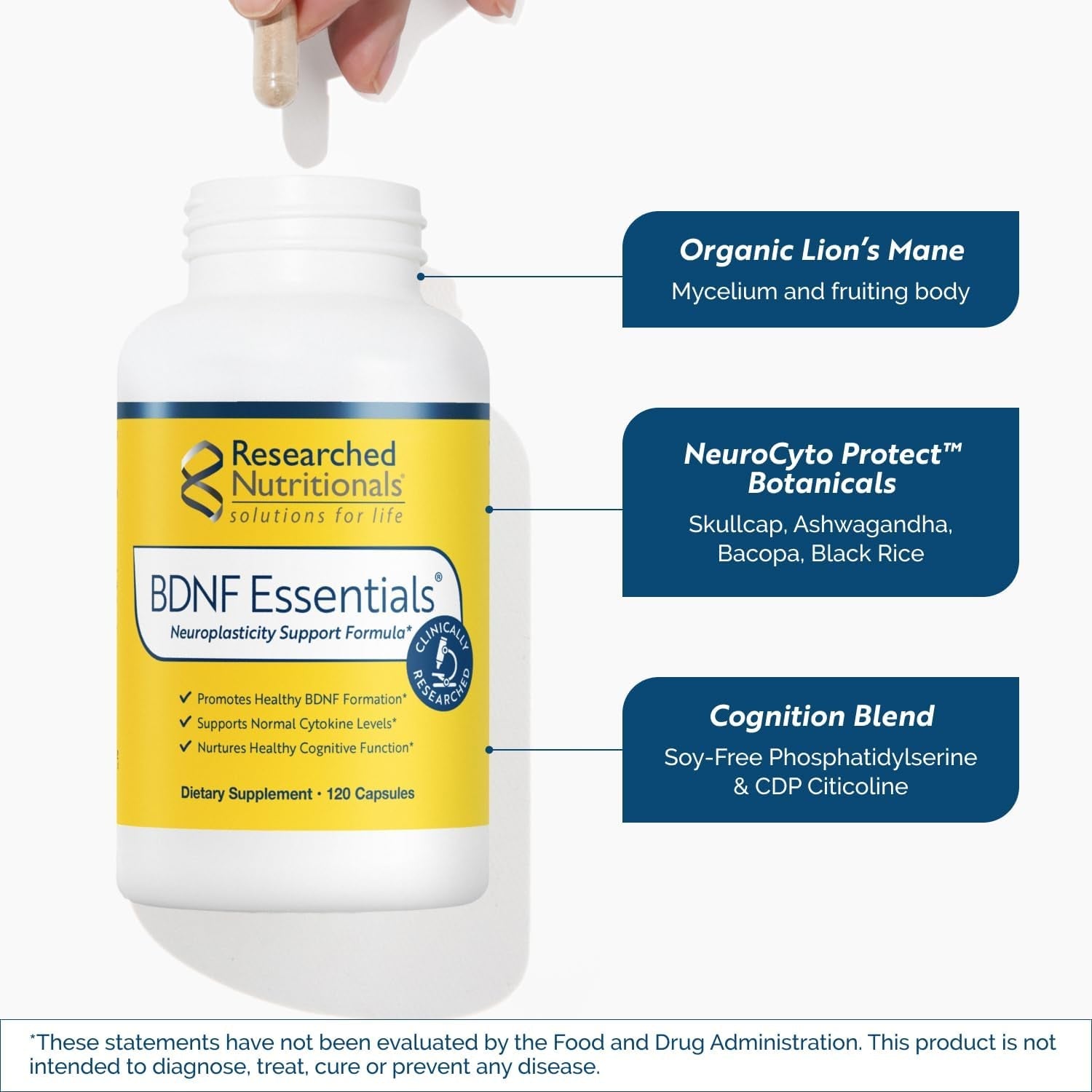 Researched Nutritionals BDNF Essentials - Clinically Researched Brain Supplement with Bacopa Monnieri & Lions Mane Mushroom - Supports Neuroplasticity, & Healthy Cortisol Levels, 120 Capsules
