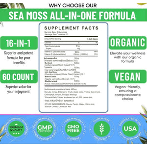 16 in 1 Sea Moss Gummies — Us-Made, 3X Potent Seamoss Gummies for Men and Women with Black Seed Oil, Ashwagandha, Burdock, and More — Supports Immunity, Energy & Vitality (30-Day Supply, 60 Gummies)