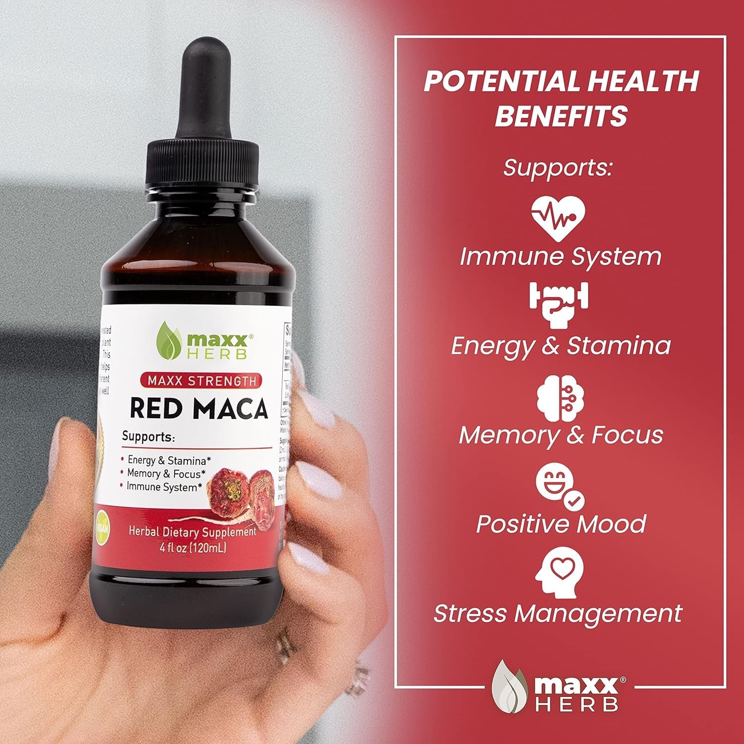 Maxx Herb Red Maca Root Extract - Max Strength Liquid Drops Absorb Better than Powder or Capsules, for Stamina, Memory and Focus - 4 Oz Bottle (60 Servings)