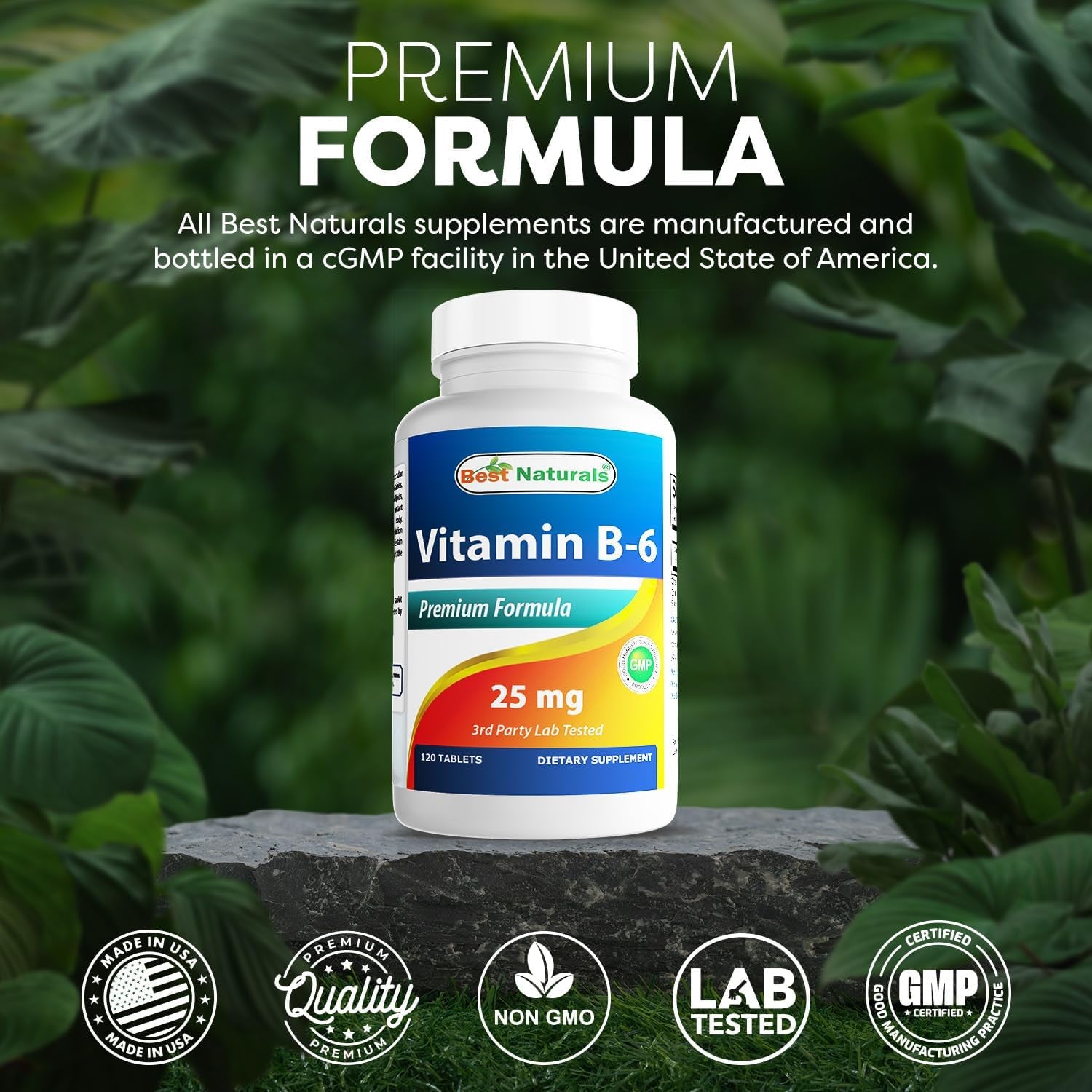 Best Naturals Vitamin B6 25Mg, 120 Tablets (120 Count (Pack of 1))