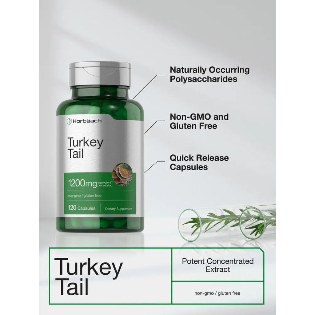 Horbäach Turkey Tail Mushroom Capsules | 120 Count | Non-Gmo and Gluten Free Extract