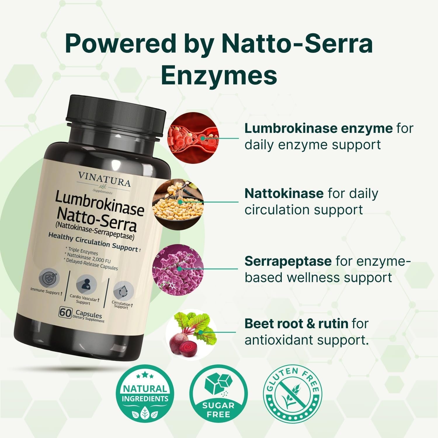 VINATURA Lumbrokinase Serrapeptase Nattokinase - Nattokinase 2000 FU, Lumbrokinase Enzymes Supplement for Blood Circulation Support - 60 Capsules
